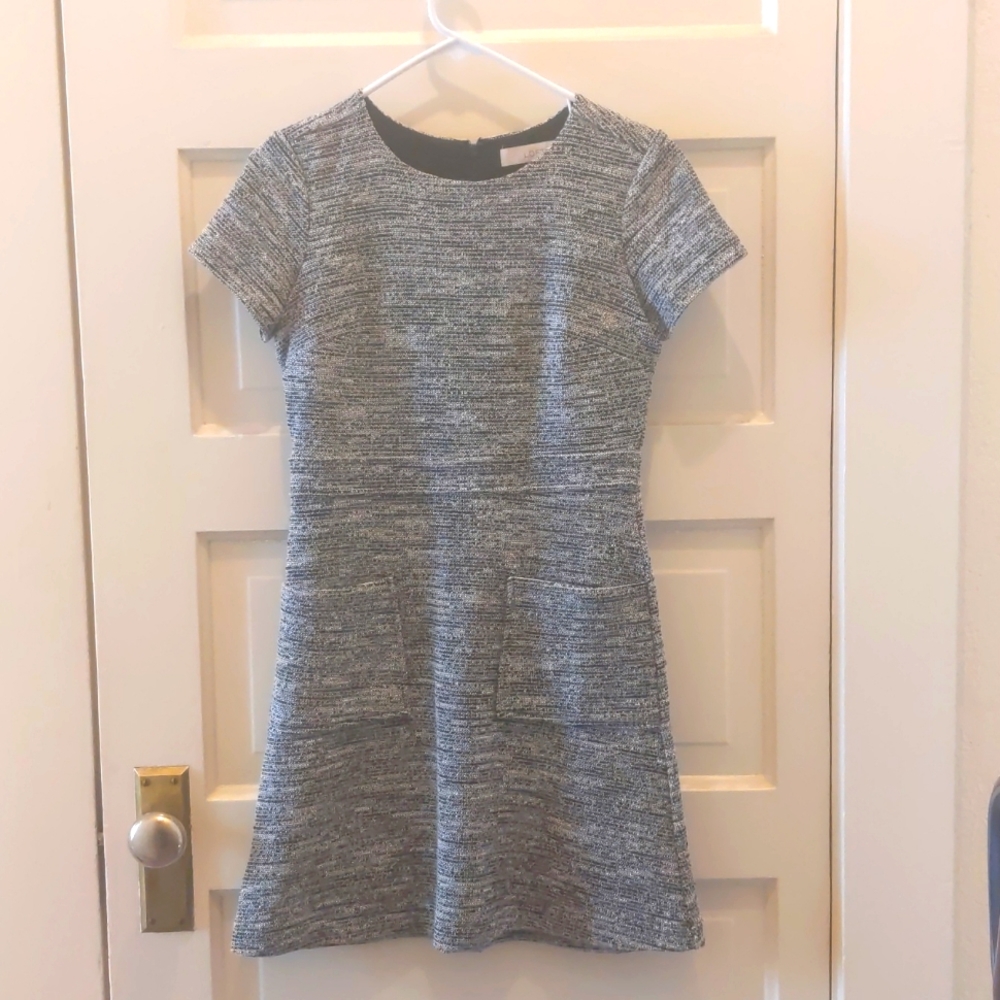 LOFT Dress